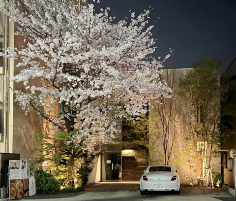 スクリーンショット 2025-04-06 13.04.46