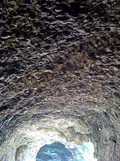 1880d9d7.jpg