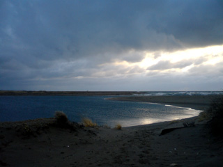 2a20388f.jpg