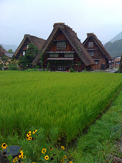 2a61087b.jpg