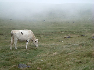6128a357.jpg