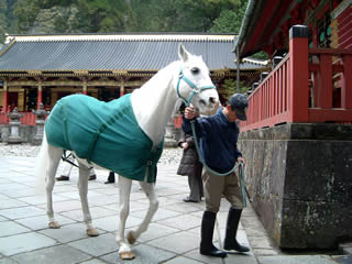 6368317e.jpg