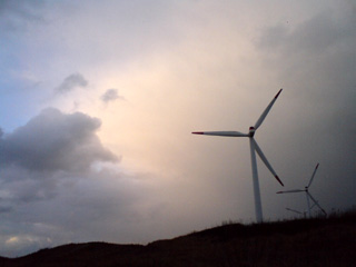 6fb3a024.jpg