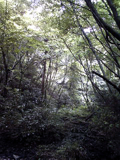74b40e64.jpg