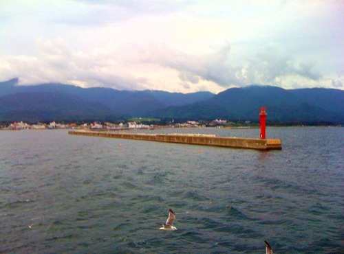 写真(14)