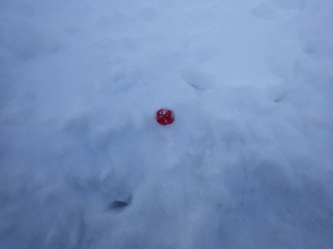 1012882_647246585338907_714150319_n