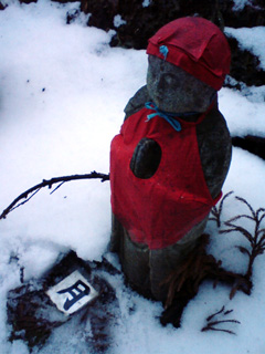8f6b4b86.jpg