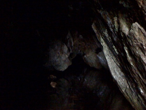 写真(2)