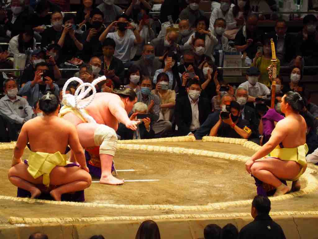 メール便不可】 相撲 反物 大相撲 - htii.edu.kz