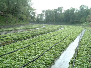 b453cd5e.jpg