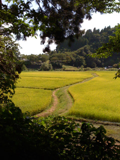 b91ee7a6.jpg