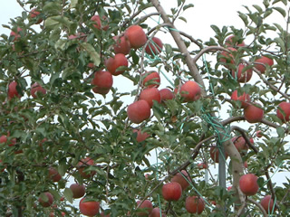 bb1abd8f.jpg