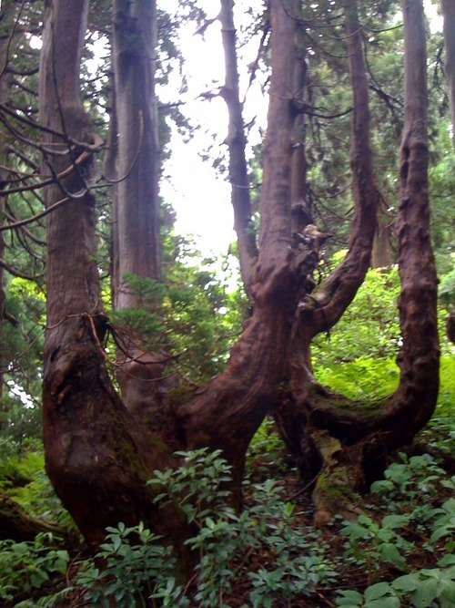 写真(9)