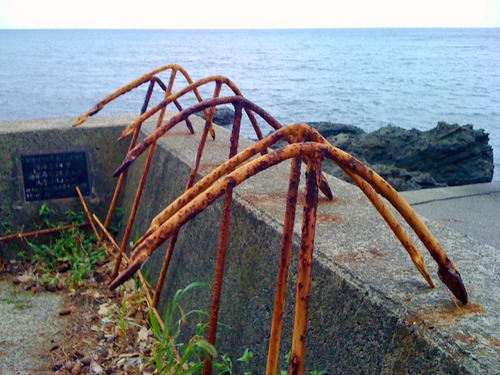IMG_4679