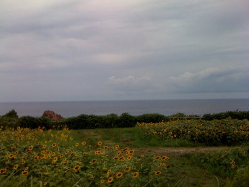 写真(2)