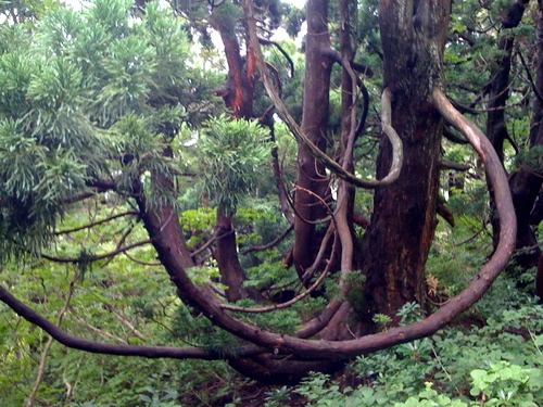 写真(6)