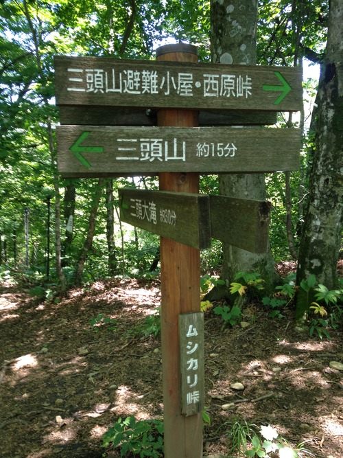 147