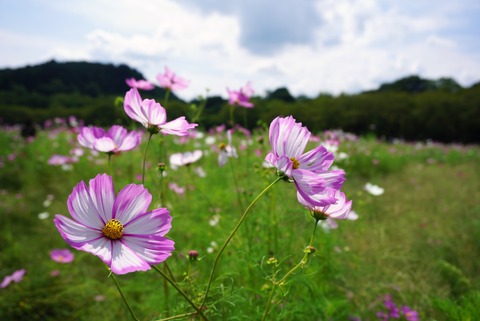 2988b8f0e8e3639beb10e65d78fafcb2_l