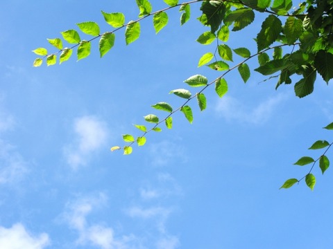 2063ef7fa9e31803c577649dbd520a93_s