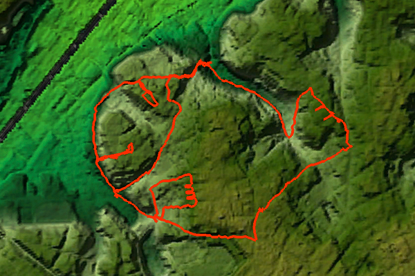 taiyakichikei
