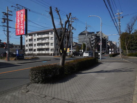DSCN3853