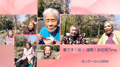 花見ブログ1