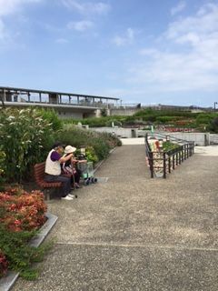 IMG_0159