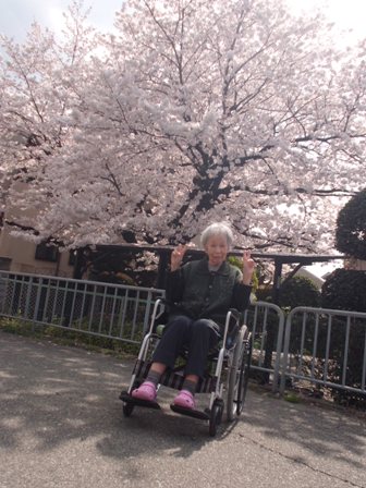 ohanami01