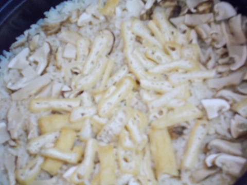 DSCN0585