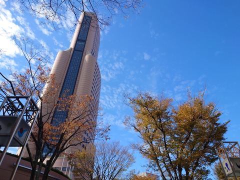 DSC_1805