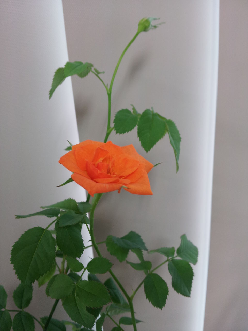  FAA、離着陸時のデジタル機器の使用を「新たに検討」