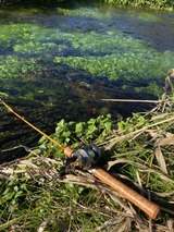 WESSEX 10周年記念スタッグモデル・ WSE-C/52 : ダックのBLOG