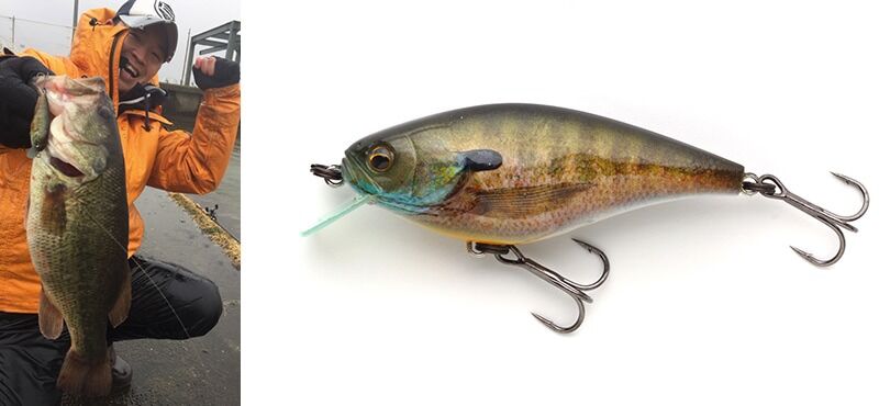 これからのイマカツ ダックのblog