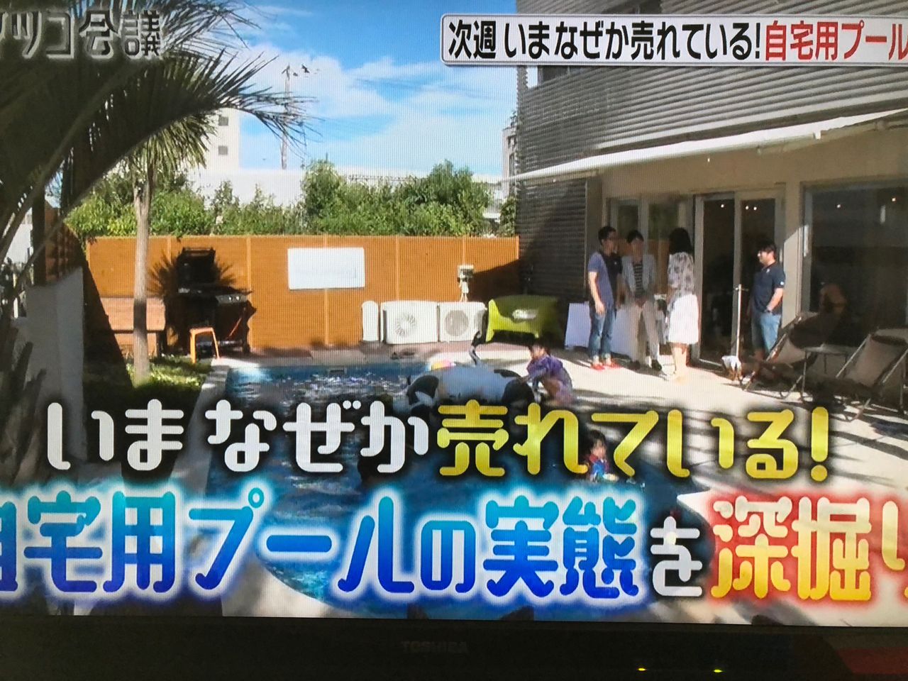 日本テレビ マツコ会議 いまなぜか売れている 自宅用プールの実態を深堀り プライベートプールのある家