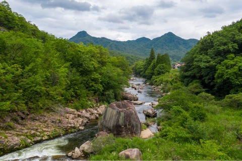 DJI_0545