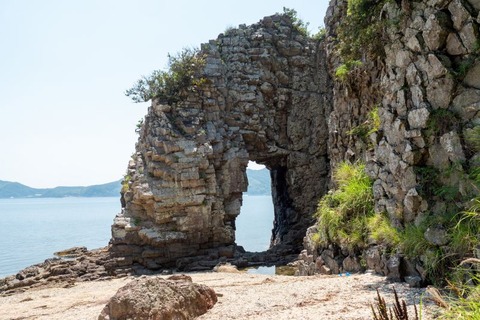 P1013131