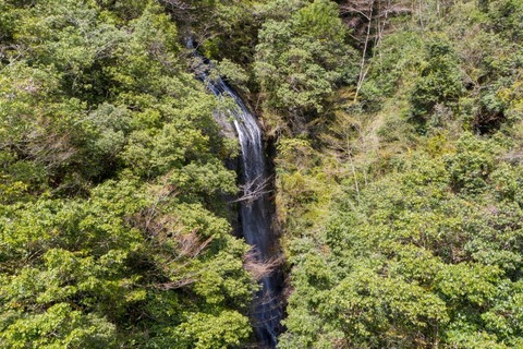DJI_0764