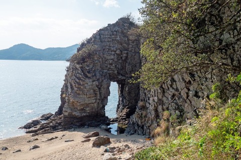 P1005454