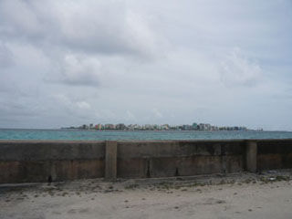 Male City