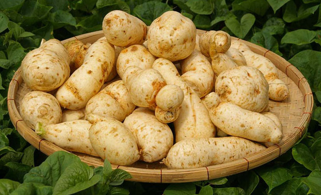 #修復的医学　#家庭医学　#セルフリトリートの知恵　を伝授します。一ヶ月以内に出版