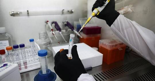 ◆免疫力は代謝と修復構成能力。それは１分１秒休むことなく働き続ける自然治癒、修復力の要は、幹細胞とエネルギーフィールド。細胞の中の水の構造が遺伝子のパフォーマンスを決定