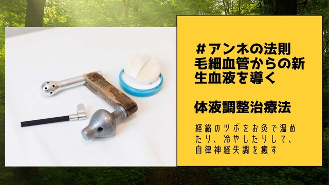 毛細血管からの新生血液