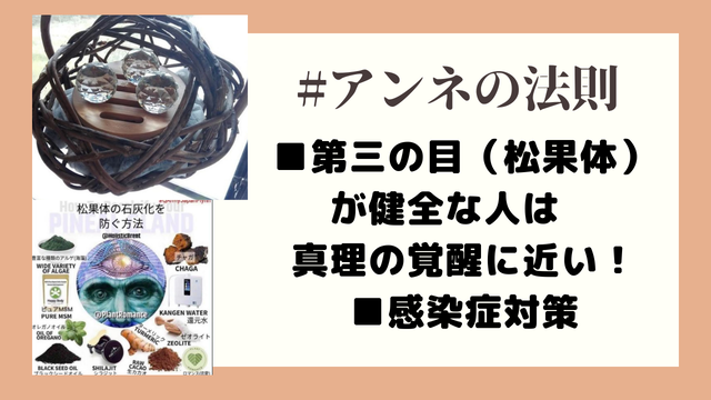 #アンネの法則 第三の目