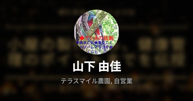 アンネの法則 プロフィール用