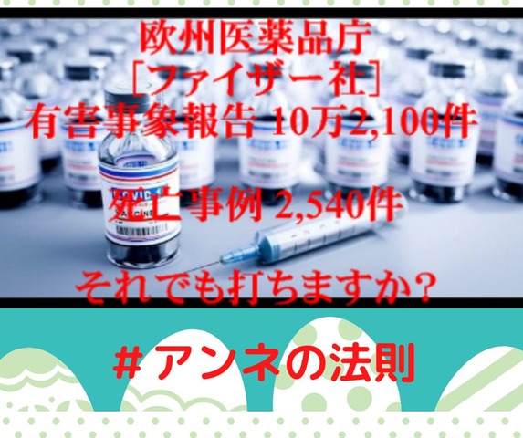 請願書■コロナワクチンは人体実験。ニュルンベルグ綱領違反。 血栓、心臓筋肉異常、脳溢血などで死亡。一刻もはやく止めてください。刑事告発を決意。