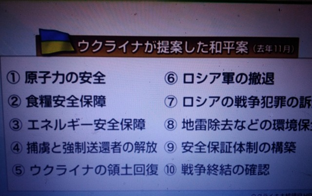 ウクライナが提案の和平案