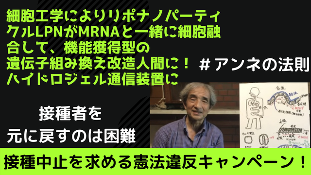 ストップジェノサイド