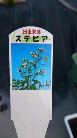◆寒冷期に強い農法研究。バイオ炭と腐葉土にはエビデンスあり◆理想の堆肥づくりのポイント(フミン酸)