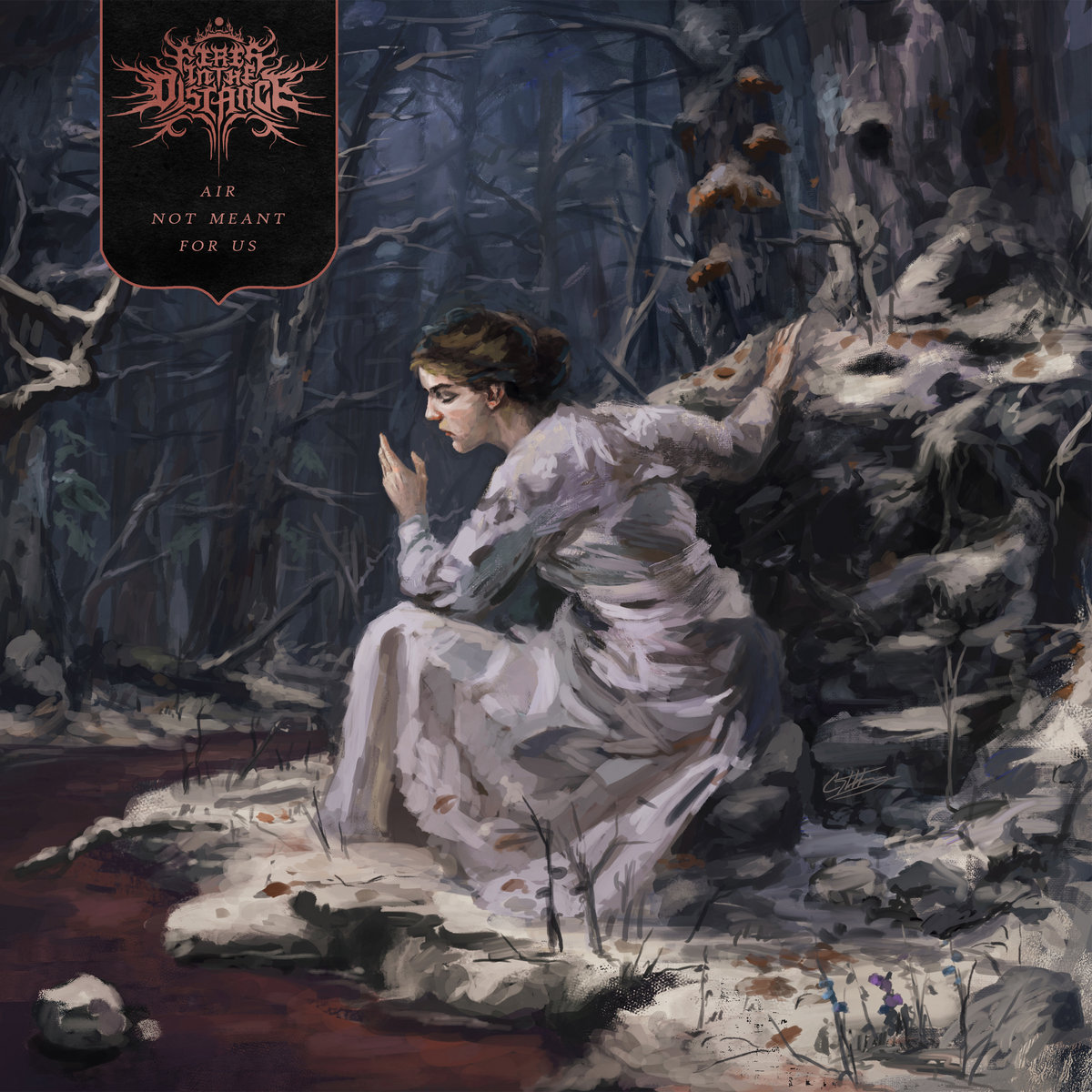 2023年 総括 : ぴろぴろめたる