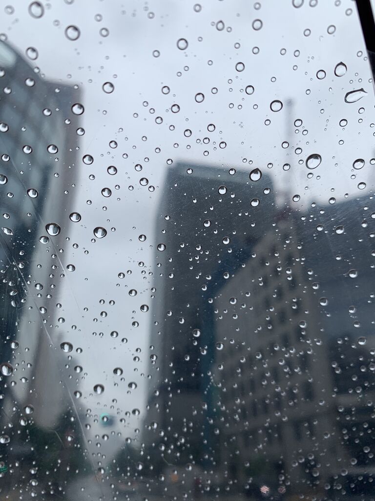 遠き日の６月 思い出 弁護士の良心